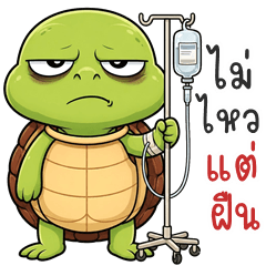 Snoozy Turtle (THAI)