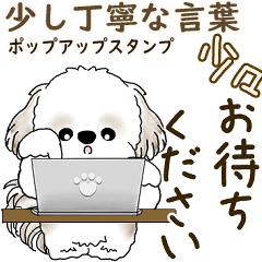 飛び出すシーズー犬 2026「ちょっと丁寧」