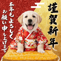 happy new dog