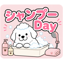 ebirin_20260512002107