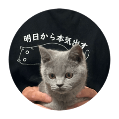 kana_20260522230630