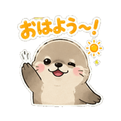 fur seal - Daily Chat Stickers