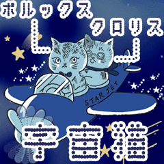 動く！宇宙猫 ポルックス＆クロリス