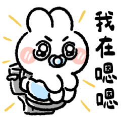 Baby office bunny