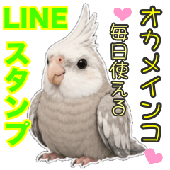 Cockatiel Cuteness Today Too!