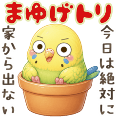 ■トリ鳥まゆげインコ.01.いつもの定番連絡
