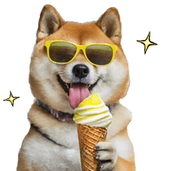 夏☆柴犬2026