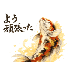 Lucky carp Grandpa Daily