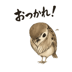 Daily Sparrow Tsukkomi