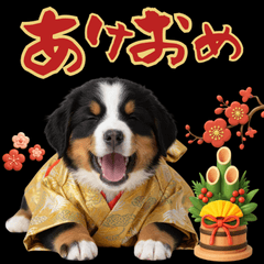 happy new Barney