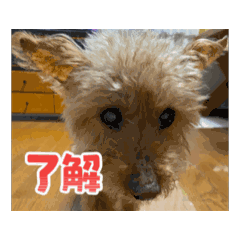 Ncha_20260529134422