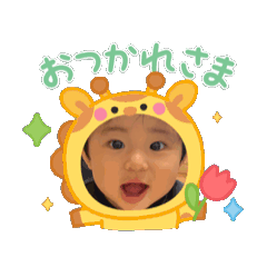 koto_20260529133547