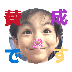 komo_20260529124502