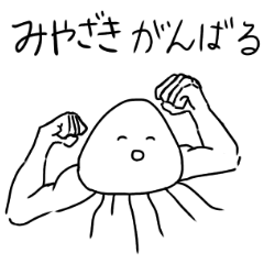 Muscle Jellyfish MIYAZAKI