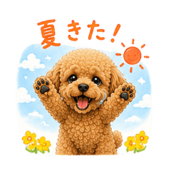 Summer Toy Poodle Stickers