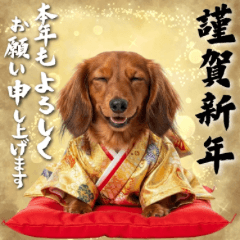 happy new BIG dog