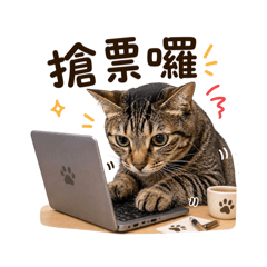520Meow Meow