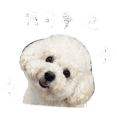 @可愛樂樂