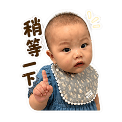 芯的回應