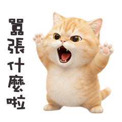 chubby chubby cat44