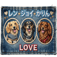 Dachshund RenJoyKarin