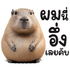 กะปิ นุบนิบ