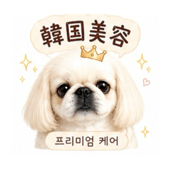 Y.Hsan_20260511224147