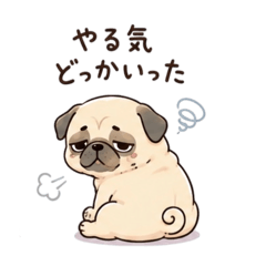 Mr.pug_yurustanmp