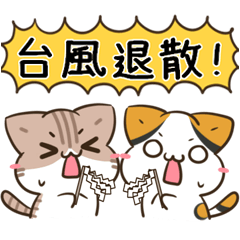 unmotivated calico cat rainy season2