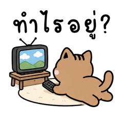 แมวเนโกะสุดน่ารัก สำหรับทักทาย ตอบแชต