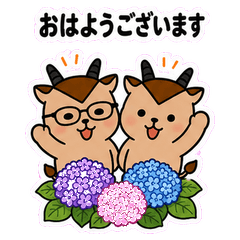 ガゼルのがっくん【6月の風物詩】