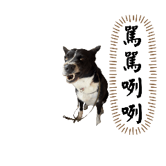饅頭狗厭世語錄
