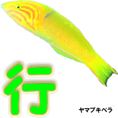 沖縄の黄色い魚の一文字漢字