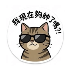 胖人和胖貓