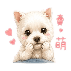 溫家的樂寶貝
