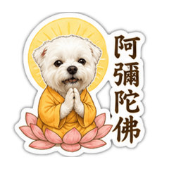 阿彌陀佛版Q寶寶