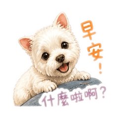 溫家的樂樂寶貝