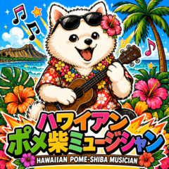 Hawaiian Pome-Shiba Musician