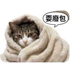 白爛C2