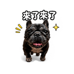 Dobe’s Life 3