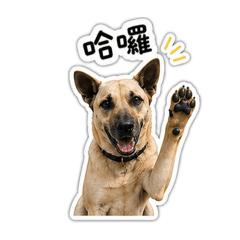 寶貝小米米