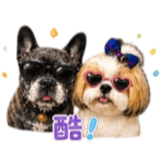Happy牛樂樂