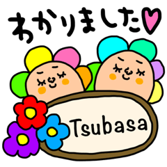 Many setTsubasa