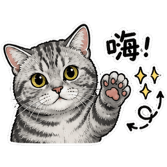 小貓寶黑米