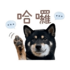 黑糖糕嗷嗷嗷