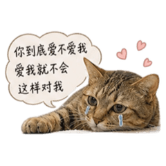 情勒喵喵上線中