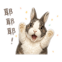 林lulu的麻吉