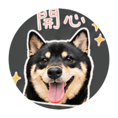 法柴家