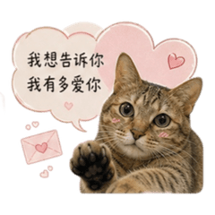 想你喵想不停