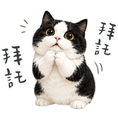 歐歐賓士乳牛貓小吃貨